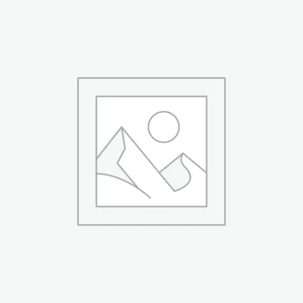 1/2-in Keyed Corded Drill